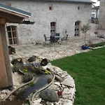 Kunnibunt *